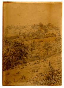 क्रिप्स, 1895 (कागज पर धोने के साथ कलम और स्याही) द्वारा एडवर्ड एड्रियन विल्सन