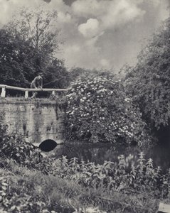  द्वारा एडवर्ड अल्फ्रेड बार्टन
