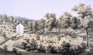 स्ट्रिब्लिंग स्प्रिंग्स, स्पा विलेज, ऑगस्टा कंट्री, 1858 द्वारा एडवर्ड बेयर