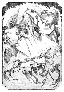 द गधा कैबेज्स, 1901