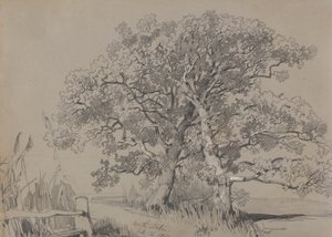  द्वारा एडवर्ड लीयर