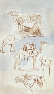  द्वारा एडवर्ड लीयर