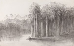  द्वारा एडवर्ड लीयर