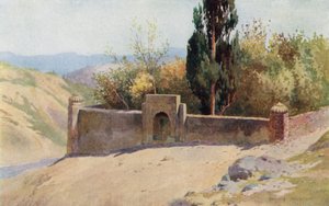 लल्ला रुख्स मकबरा, हसन अब्दल