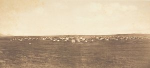 सन डांस कैंप - पीगन, 1900। द्वारा एडवर्ड शेरिफ कर्टिस