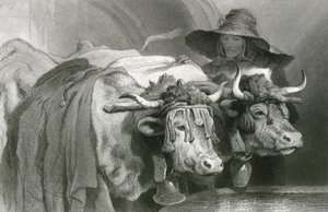 टैंक पर बैल, जिनेवा (उत्कीर्णन) द्वारा एडविन (बाद) लैंडसीर