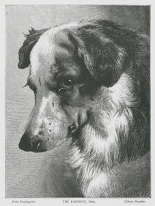  द्वारा एडविन डगलस