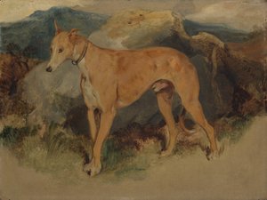 ए डियरहाउंड, 1826। द्वारा एडविन लैंडसीर