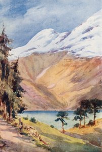  द्वारा एफी जार्डिन