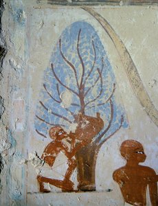  द्वारा मिस्र का 18वां राजवंश Dy