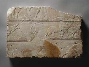 डेजर्ट एनिमल, ओल्ड किंगडम के साथ राहत, साक़कारा में पाया गया, c.2472-2455 ईसा पूर्व (चित्रित चूना पत्थर)