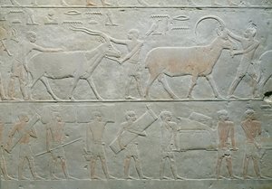 अकथोटेप, सक्काकारा, ओल्ड किंगडम, c.2400 ईसा पूर्व (चित्रित चूना पत्थर) के मस्तबा से एक ओरेक्स और एक मृग और सामान ले जाने वाले सेवक