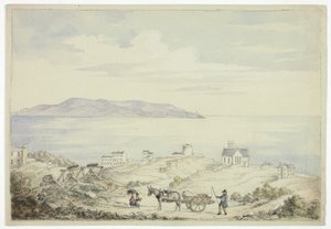  द्वारा एलिजाबेथ मरे