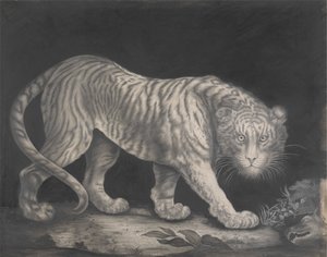  द्वारा एलिजाबेथ प्रिंगल