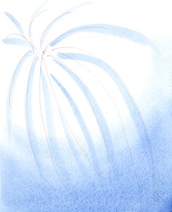  द्वारा एलिजाबेथ वांगो