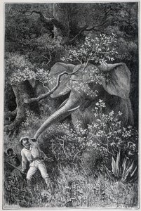 "ले टूर डू मोंडे" में एक हाथी ने लिविंगस्टोन को आश्चर्यचकित कर दिया द्वारा एमिल एंटोनी बेयर्ड