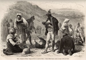 पिसिनो (क्रोएशिया) के आसपास के किसान बाजार में अपने कृषि उत्पादों की बिक्री के लिए इकट्ठा होते हैं: पोल्ट्री, पिगलेट ..., एमिल बायर्ड द्वारा एक चित्र के बाद उत्कीर्णन, 1874 में चार्ल्स द्वारा इस्त्रिया और डालमेटिया में यात्रा का चित्रण करते हुए। यरीयर्ट, प द्वारा एमिल एंटोनी बेयर्ड