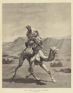 रेगिस्तान की पोस्ट