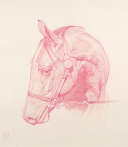पोर्ट्रेट हेड, 2010 (कागज पर लाल चाक)