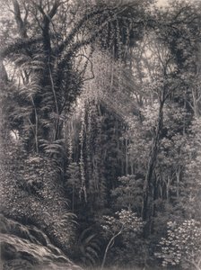 Apia, Upolu, पश्चिमी समोआ, 1877 के ऊपर कण्ठ का दृश्य (कागज पर लकड़ी का कोयला) द्वारा एम्मा सैंडिस