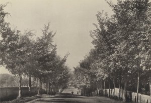 Aldeburgh, Westfields Avenue (b/w फोटो) द्वारा अंग्रेजी फोटोग्राफर