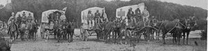 एम्बुलेंस वैगन्स केप टाउन में प्लेग अस्पताल को छोड़कर, द किंग, 25 मई 1901 से चित्रण द्वारा अंग्रेजी फोटोग्राफर