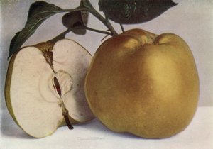  द्वारा अंग्रेजी फोटोग्राफर