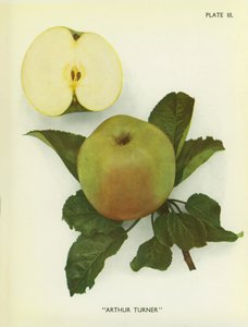  द्वारा अंग्रेजी फोटोग्राफर