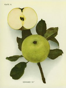  द्वारा अंग्रेजी फोटोग्राफर