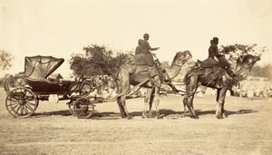 कैमल कैरिज, c.1860 (फोटोग्राव्योर) द्वारा अंग्रेजी फोटोग्राफर