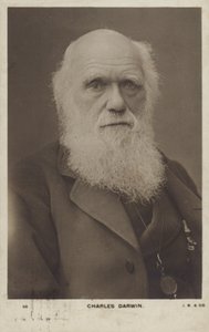 चार्ल्स डार्विन (1809-1882), अंग्रेजी प्रकृतिवादी द्वारा अंग्रेजी फोटोग्राफर