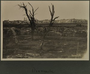 डिक्समूड, c.1916-19 द्वारा अंग्रेजी फोटोग्राफर