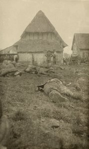 विश्व युद्ध एक, पश्चिमी मोर्चा, 1914-18 से जुड़ी 134 तस्वीरों के एक एल्बम से द्वारा अंग्रेजी फोटोग्राफर
