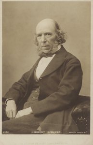 हर्बर्ट स्पेंसर (1820-1903), अंग्रेजी दार्शनिक, राजनीतिक सिद्धांतकार, जीवविज्ञानी और समाजशास्त्री द्वारा अंग्रेजी फोटोग्राफर