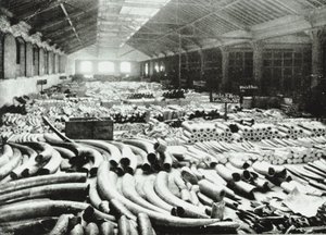 लंदन डॉक्स: हाथी दांत गोदाम, 1895 द्वारा अंग्रेजी फोटोग्राफर
