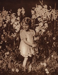  द्वारा अंग्रेजी फोटोग्राफर