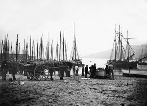 सेंट Ives हार्बर लुकिंग टुवर्ड्स कार्बिस बे, c.1880-99 द्वारा अंग्रेजी फोटोग्राफर