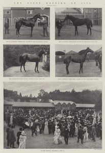 1901 की अस्कोट बैठक द्वारा English Photographer