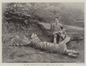 पहला टाइगर, राजकुमार बुगवान सिंह, एजेड बारह द्वारा शूट किया गया द्वारा अंग्रेजी फोटोग्राफर
