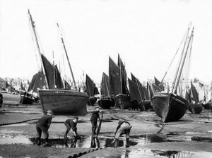 सेंट Ives हार्बर में मत्स्य पालन बेड़े, c.1880-99 द्वारा अंग्रेजी फोटोग्राफर