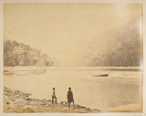 भीरकोटी में तीस्ता। दार्जिलिंग के दृश्य। 1870 का दशक द्वारा अंग्रेजी फोटोग्राफर