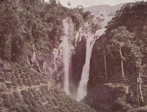 ट्विन फॉल्स (कॉफ़ी ग्रोइंग इन फोरग्राउंड), सीलोन (रंगीन फोटो) द्वारा अंग्रेजी फोटोग्राफर