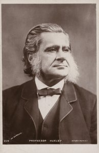 थॉमस हेनरी हक्सले (1825-1895, अंग्रेजी जीवविज्ञानी द्वारा अंग्रेजी फोटोग्राफर