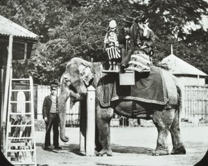 जूलॉजिकल गार्डन, रीजेंट्स पार्क: हाथी और वयस्कों के साथ बच्चे जिनकी सवारी है, लंदन चिड़ियाघर, 1894 द्वारा अंग्रेजी फोटोग्राफर