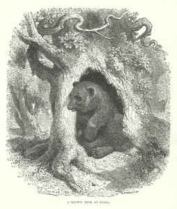  द्वारा अंग्रेजी स्कूल