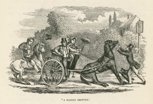  द्वारा अंग्रेजी स्कूल