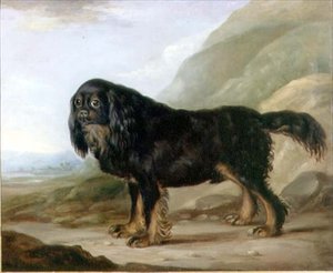 एक लैंडस्केप में एक किंग चार्ल्स स्पैनियल द्वारा अंग्रेजी स्कूल