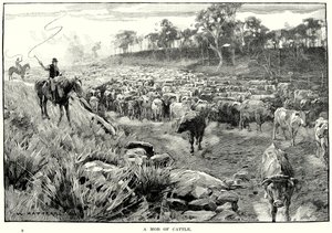  द्वारा अंग्रेजी स्कूल