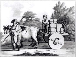 एक पुर्तगाली फार्म, जेम्स मर्फी द्वारा पुर्तगाल राज्य के एक सामान्य दृश्य से, 1797 में प्रकाशित हुआ द्वारा अंग्रेजी स्कूल