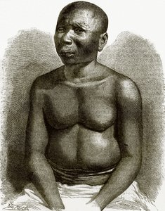 अंडमान द्वीपों का मूल निवासी द्वारा अंग्रेजी स्कूल